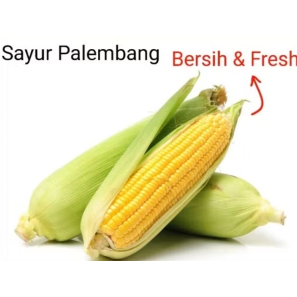

JAGUNG MANIS - Palembang
