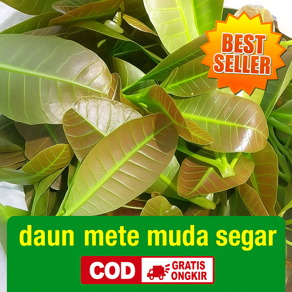 

Daun Mete Segar – Herbal Alami untuk Kesehatan & Obat Tradisional
