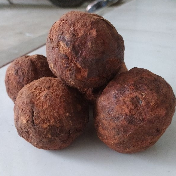 

Getah Gambir Medan Gambir Maha Bunga Ukuran Besar Untuk Makan Sirih Demban