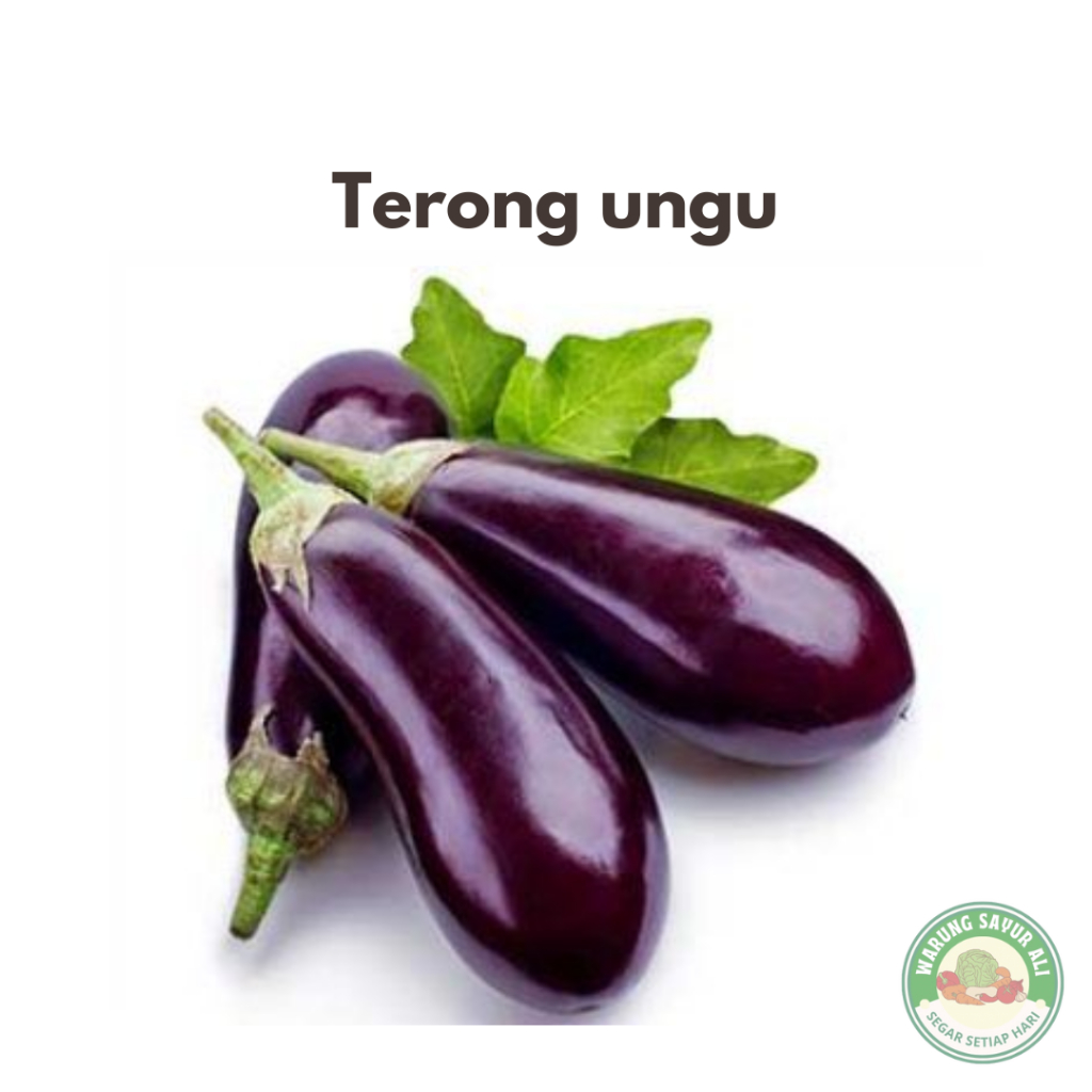 

(KIRIM INSTAN) Terong Ungu / Sayuran Segar 250 gram