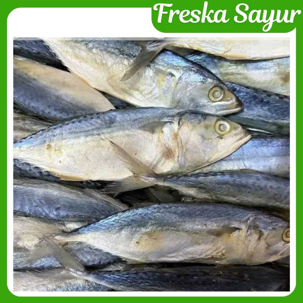 

Ikan Asin Peda Putih Gurih 100 gr I Lauk Andalan Masakan Rumahan