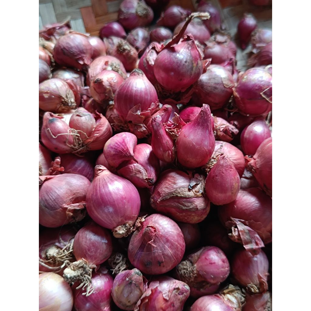 

Bawang merah super kering