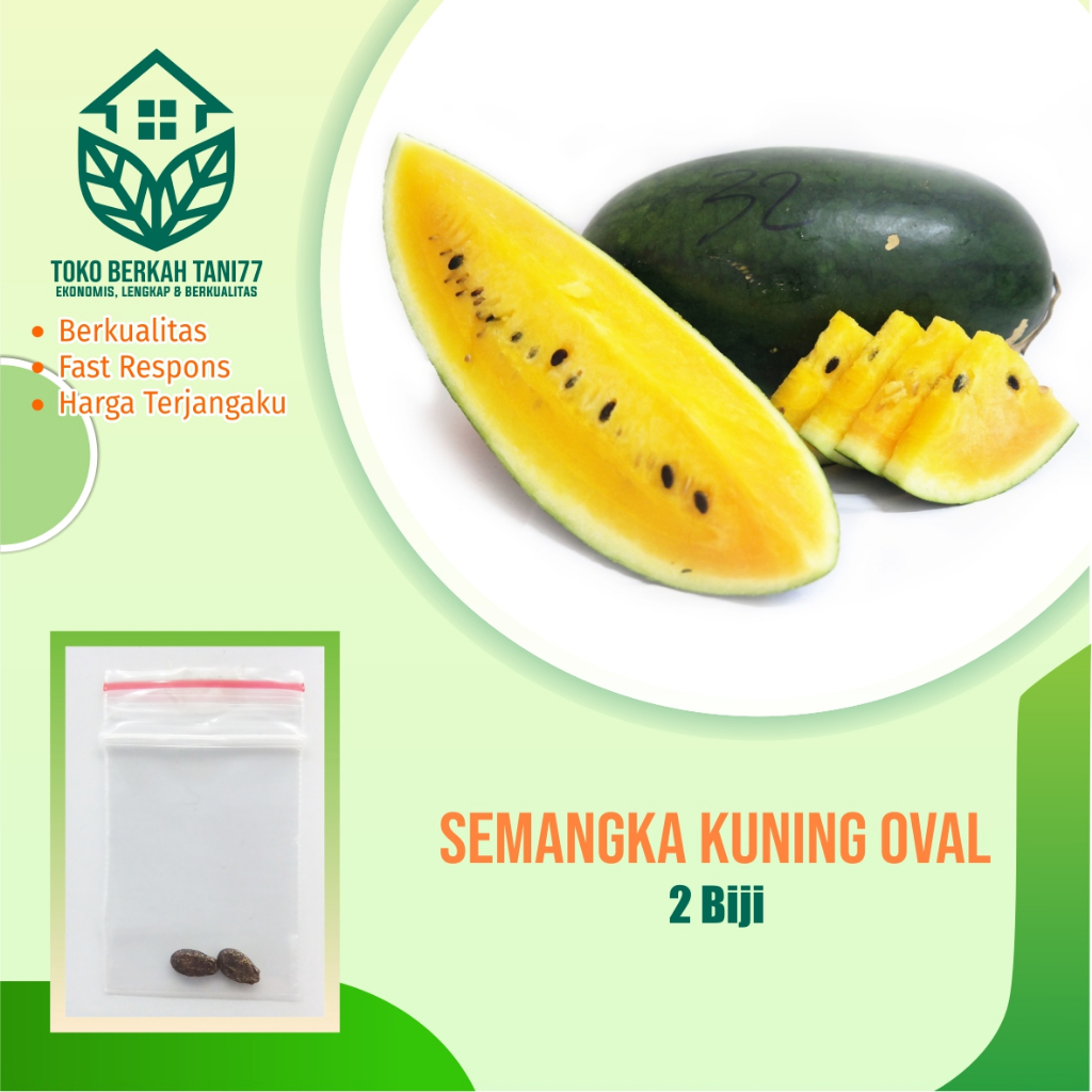 Benih Buah Semangka Kuning Lonjong Bibit Buah Semangka Kuning Oval Benih Buah-buahan Berkualitas
