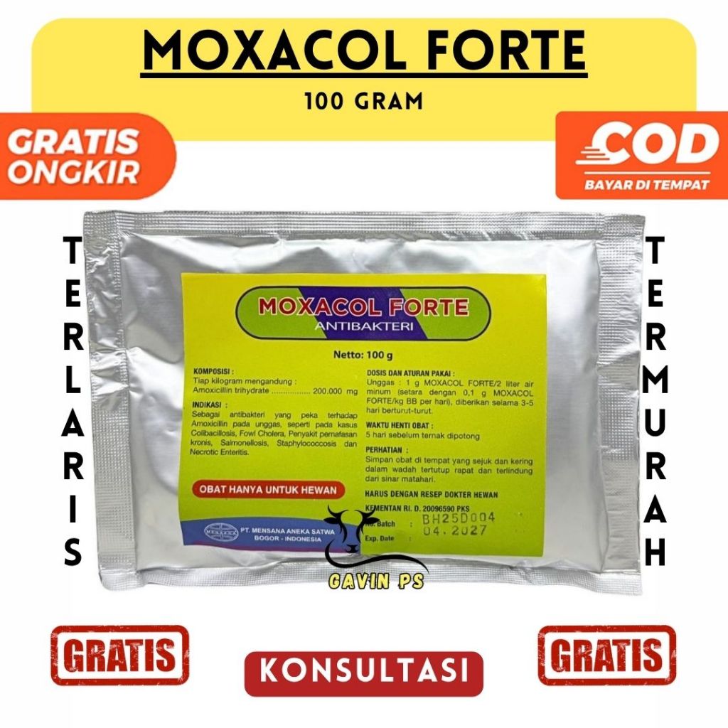 MOXACOL FORTE 100 GRAM - Mensana - Antibakteri Amoxi.cilline