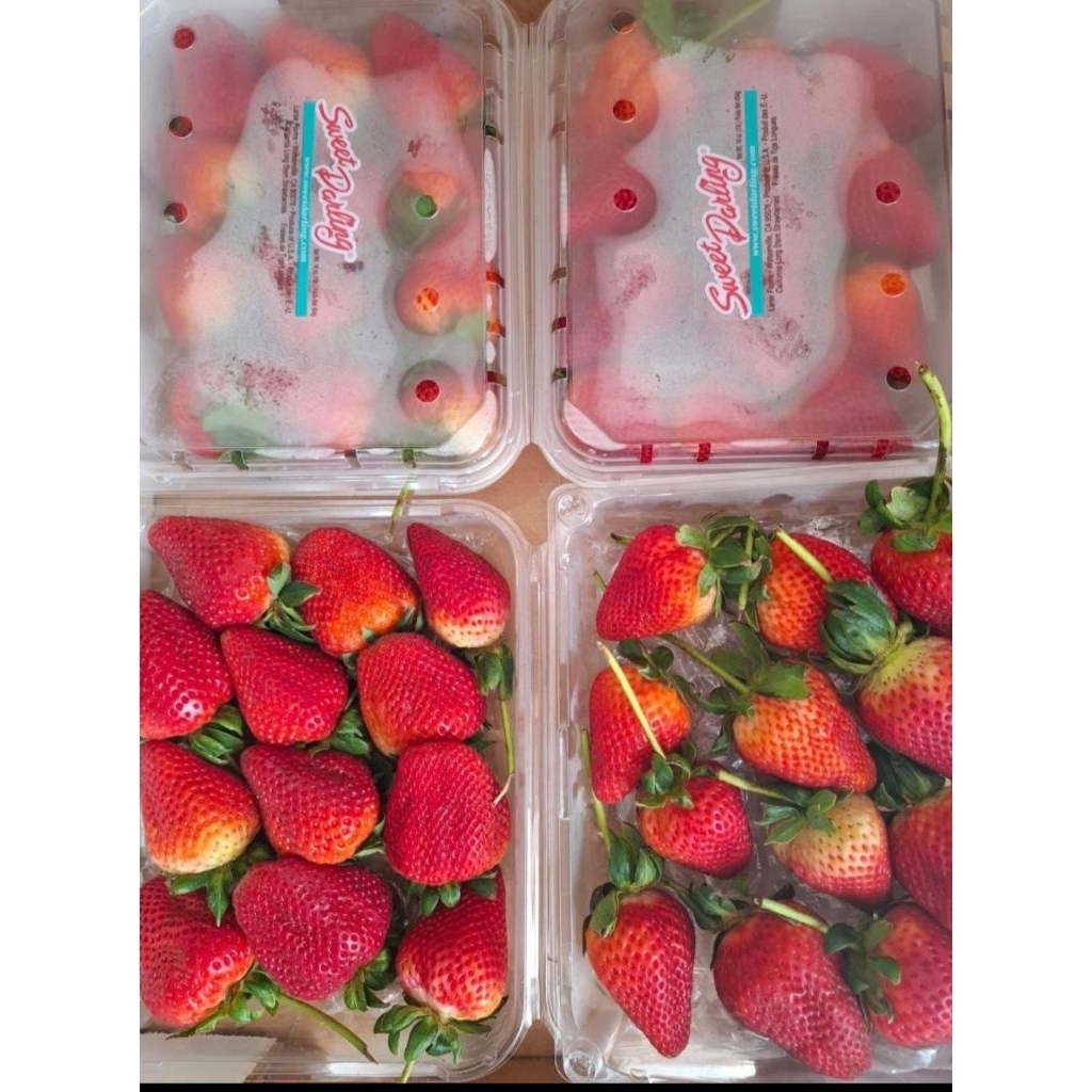 

Buah strawberry USA l pack 454gr buah