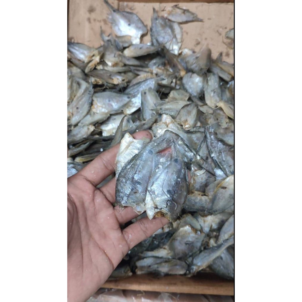 

Ikan Asin Sepat Kecil 1 KG ( size 2-4 cm )