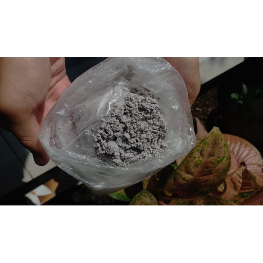 

Tepung Ketan Hitam | 1 KG & 250 gr | Murni Gilingan Sendiri