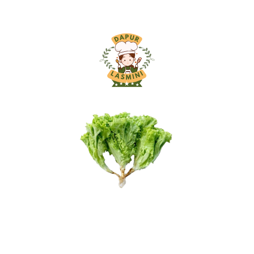 

Selada Kriting Fresh 250 Gram