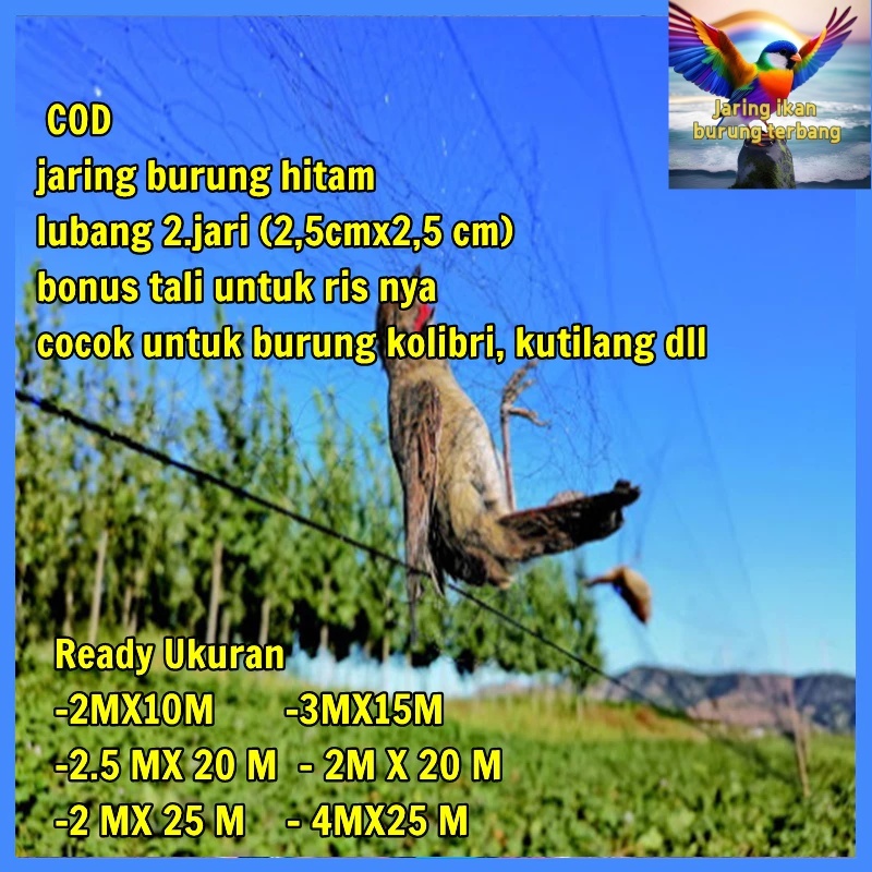 JARING BURUNG PRENJAK PIKAT JEBAKAN BURUNG KECIL JARING BURUNG SIAP PAKAI JARING