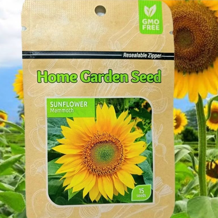 Benih Biji bunga Matahari Sunflower Mammoth - Home Garden Seed