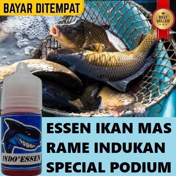 ESSEN IKAN MAS RAME INDUKAN SPECIAL RAJA PODIUM