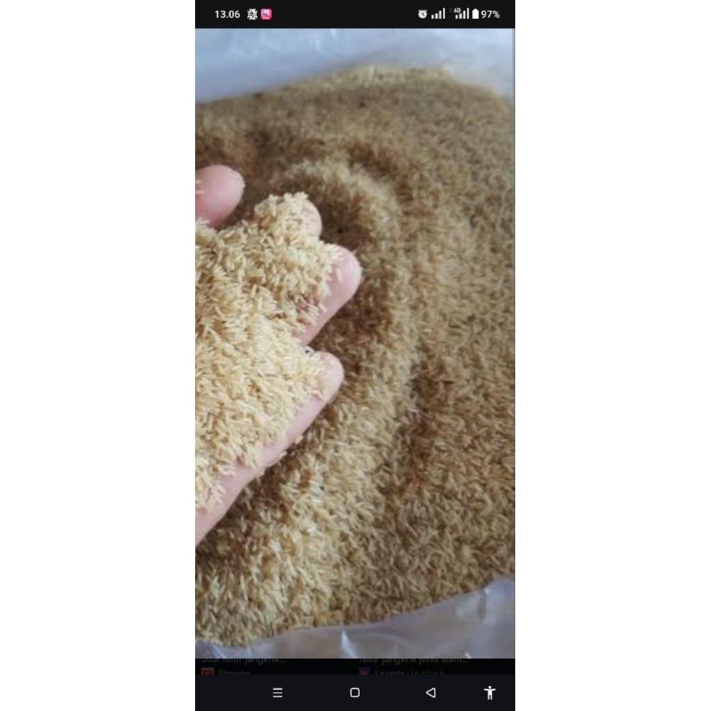 TELUR JANGKRIK KUNYIT MADU 99