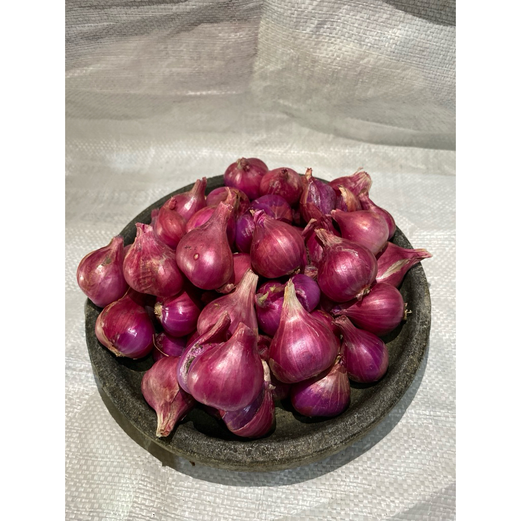 

BAWANG MERAH SUPER ASLI PROBOLINGGO