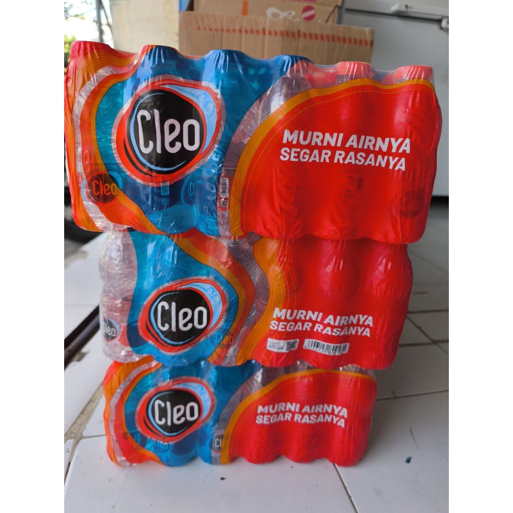 

Air Mineral Cleo 24x220 ml