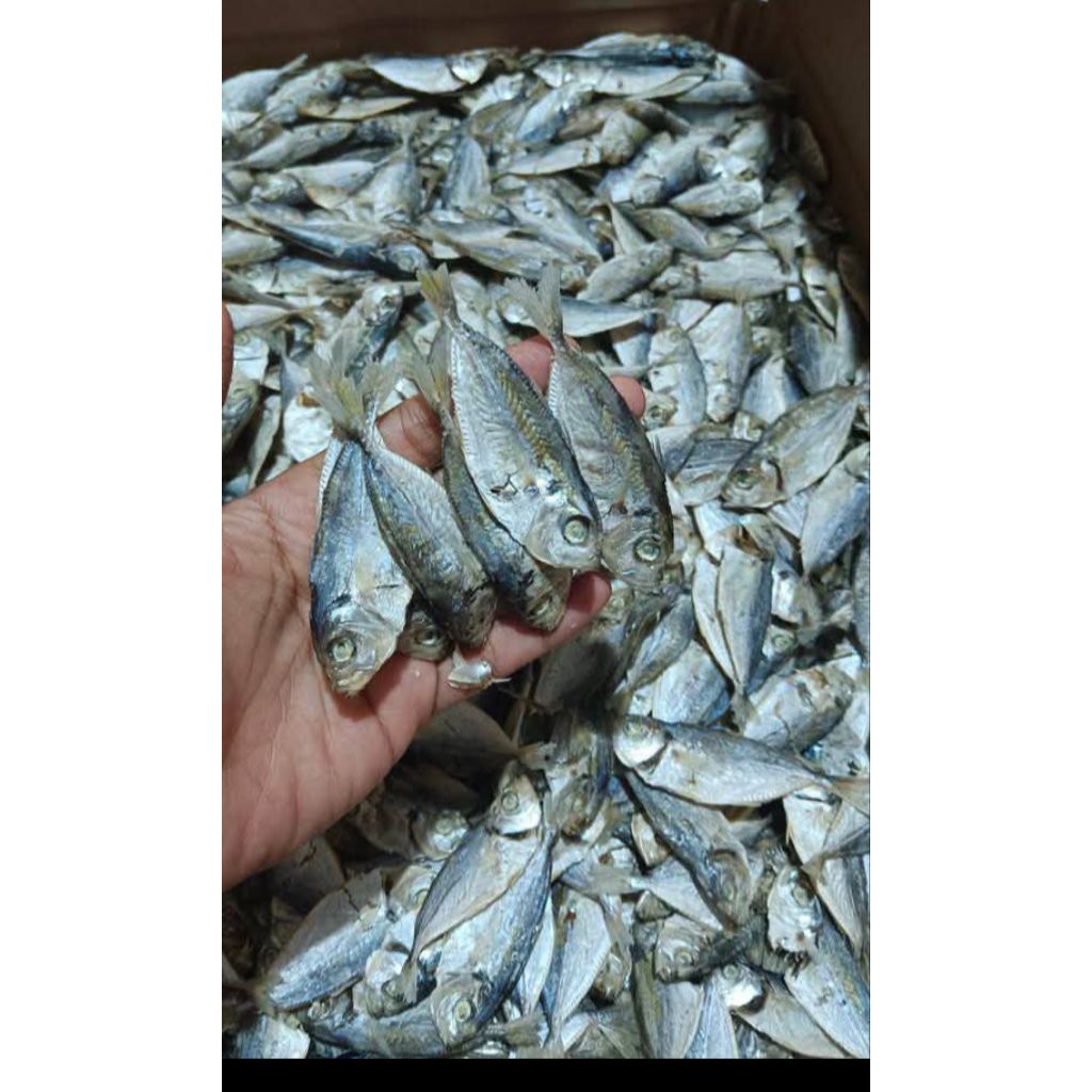 

Ikan Asin Rebus Selar 500 Gram