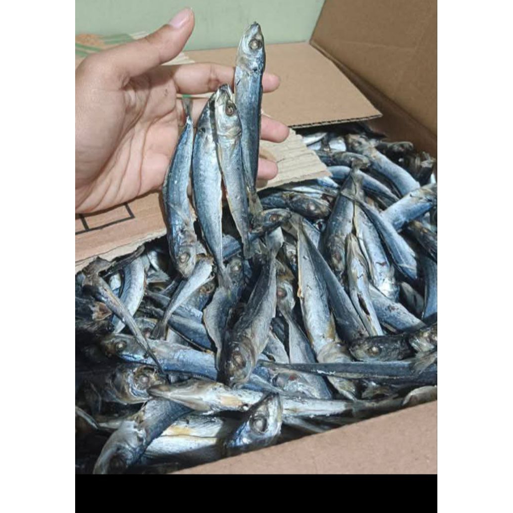 

Ikan Asin Rebus Layang 1 KG
