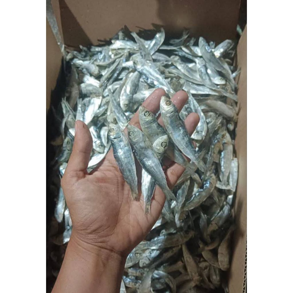

Ikan Asin Rebus Tanjan 500 Gram