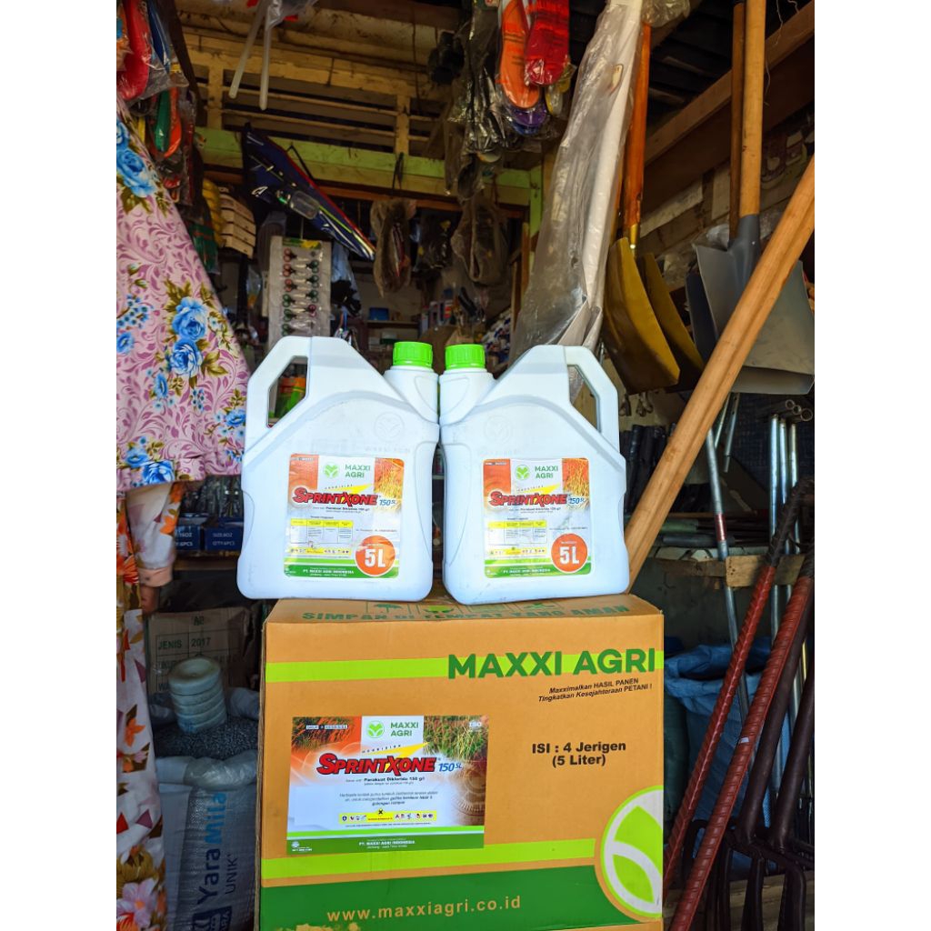 Herbisida Sprintxone 150 SL 5 Liter Pembasmi gulma rumput liar