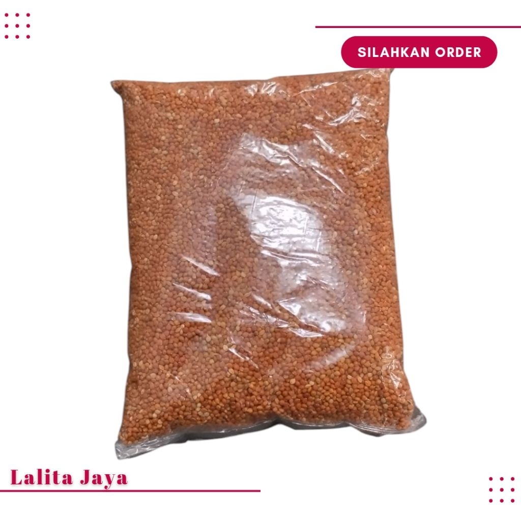 JEWAWUT PAKAN ALAMI BURUNG PERKUTUT KUTUT