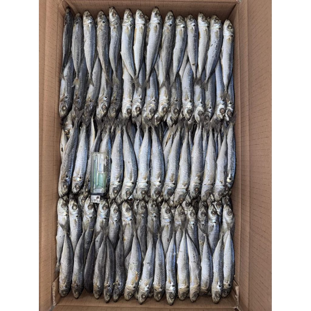 

Ikan Asin Dencis Super