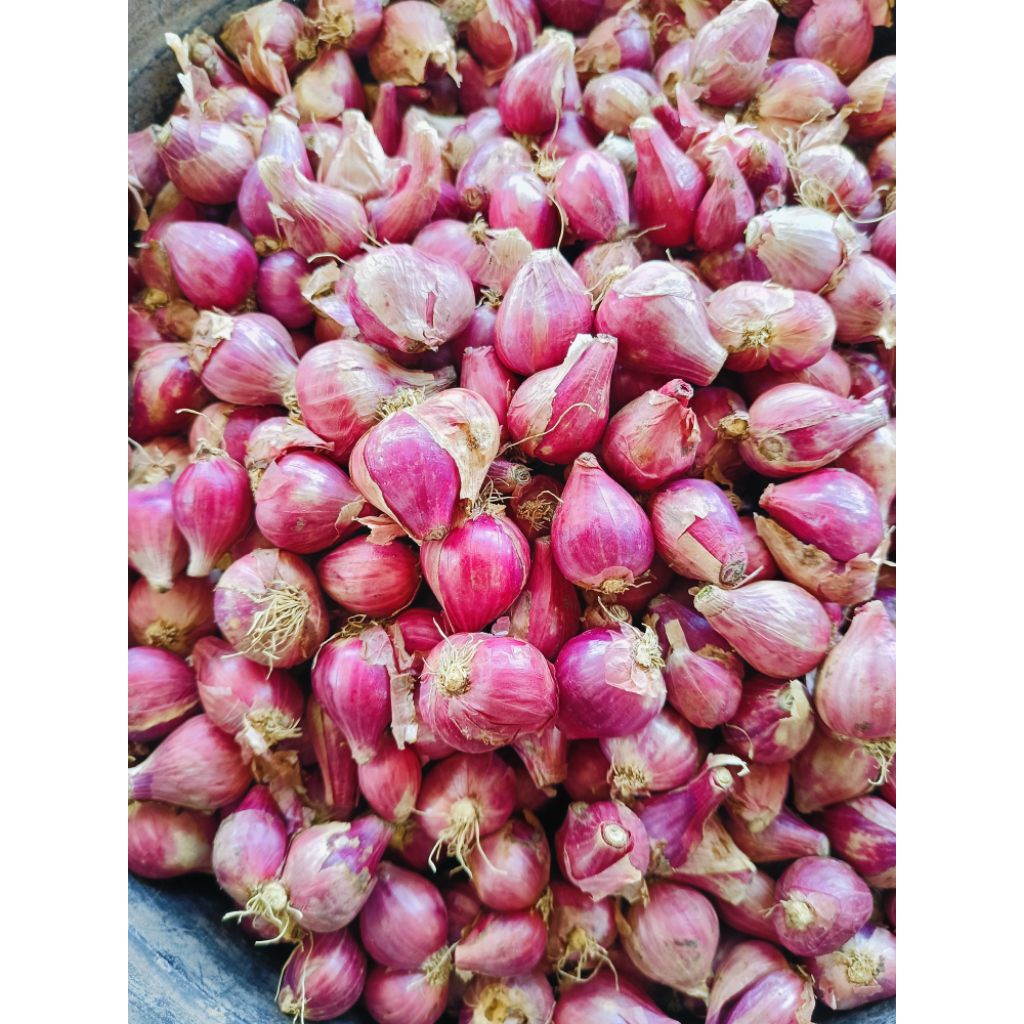 

Bawang Merah 500 gram
