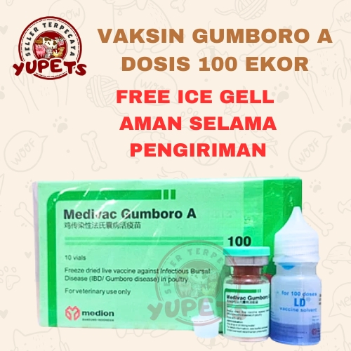 VAKSIN MEDIVAC GUMBORO A 100 DOSIS + PELARUT - Vaksin Gumboro IBD Aratan Ayam Burung Unggas