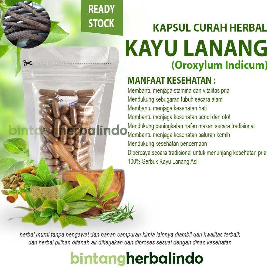 Kayu Lanang Kapsul Curah Herbal Isi 100 Kapsul 500 mg