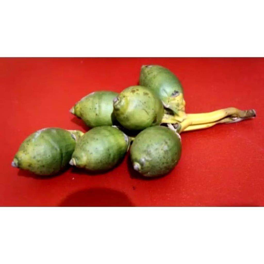 

buah pinang muda isi 10biji