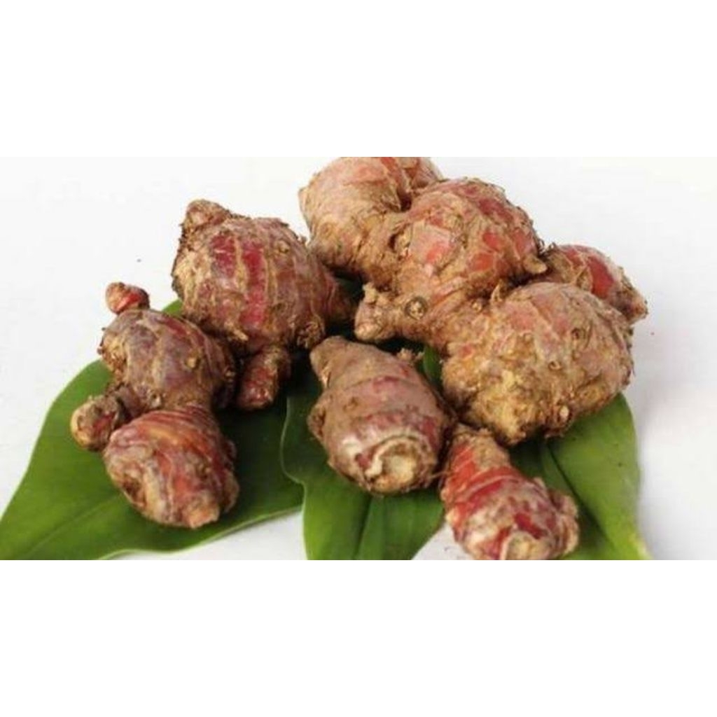 

1 kg jahe merah super fresh sudah bersih