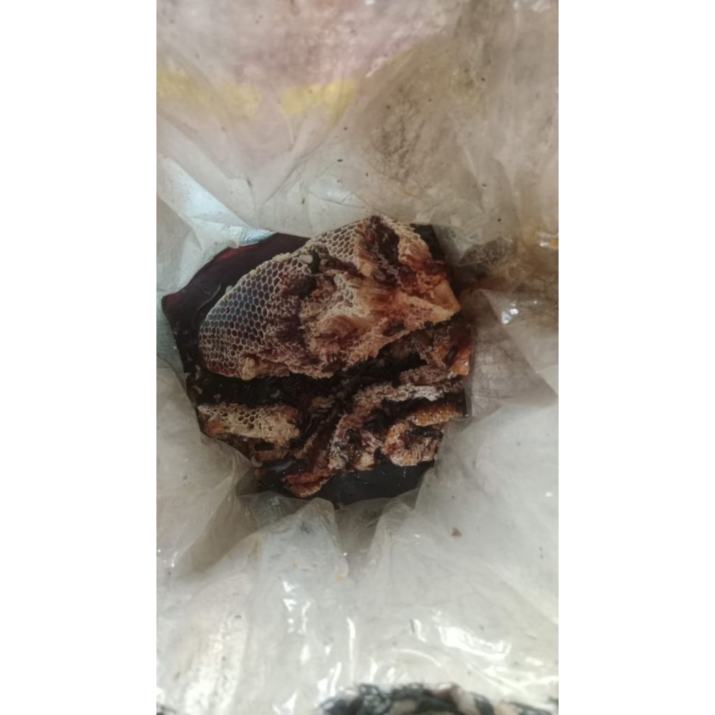 

Madu + sarang lebah hutan Liar