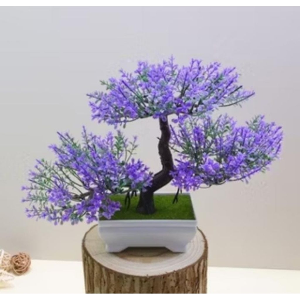 TANAMAN BONSAI HIAS PLASTIK