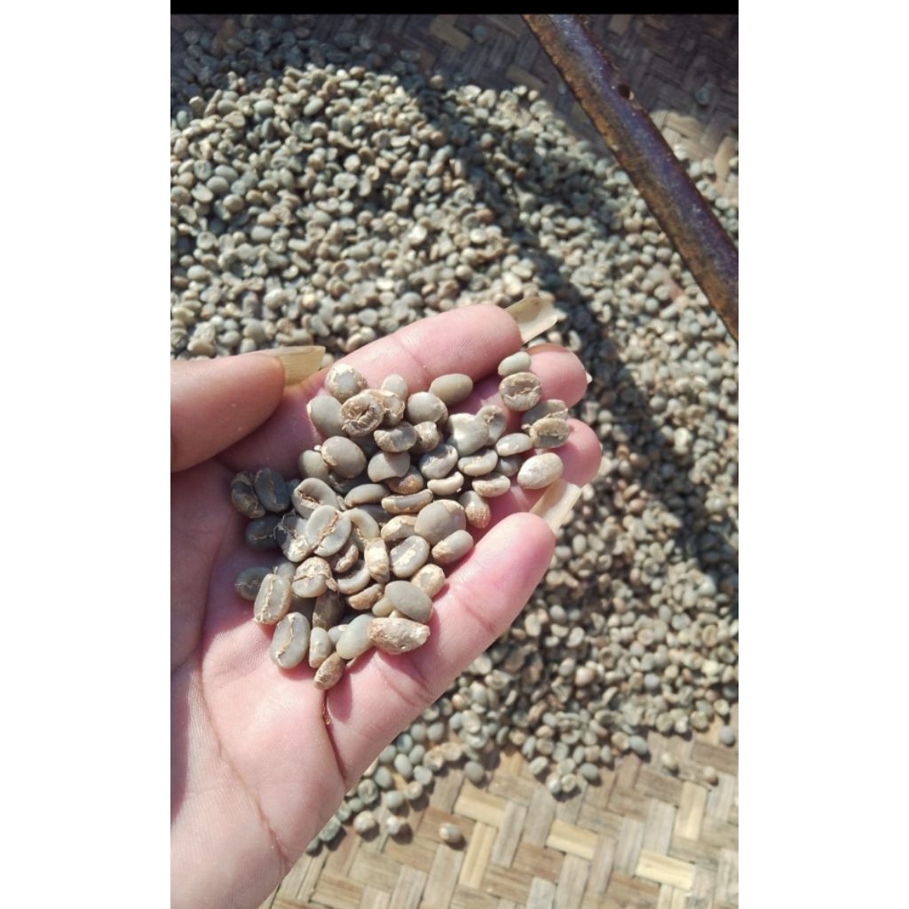 

Green beans kopi arabika ciwidey