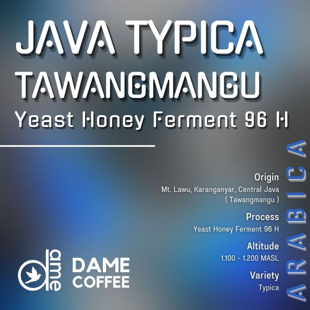 

Arabika Java Typica Tawangmangu - Yeast Honey Ferment 96 H - Greenbean - Kopi Mentah - Dame Coffee