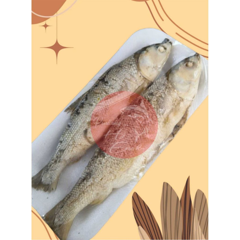 

Bandeng Presto Putih Kecil