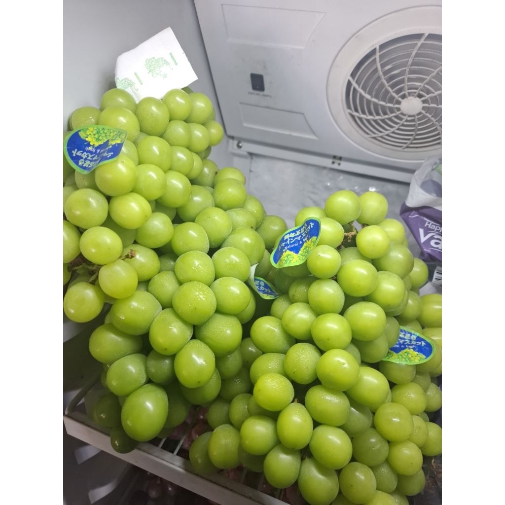 

ANGGUR SHINE MUSCAT 500gr