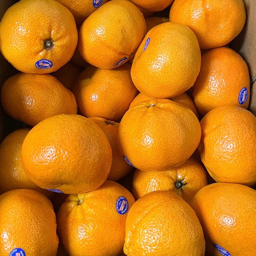 

JERUK MURCOTT HONEY AUSTRALIA NON BIJI MANIS SEGER SEGAR BANYAK AIR BULIR | BUAH JERUK ORANGE FRUIT