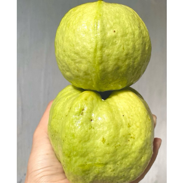 

1/2 kg (isi 3/4) Jambu Kristal Asal Kebumen - Buah Segar dan Berkualitas!