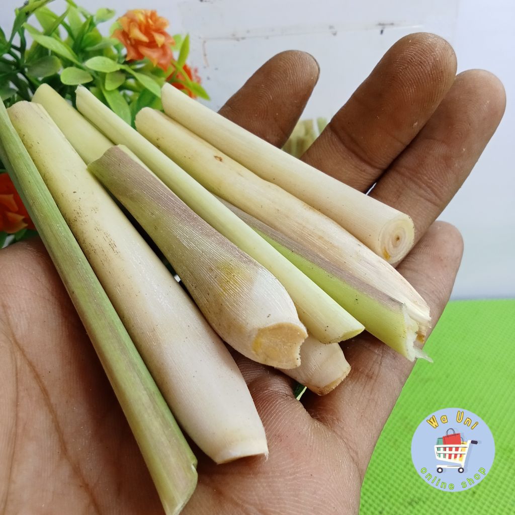 

sereh - serai segar 250 gram - rempah - herbal - penyedap - bumbu dapur