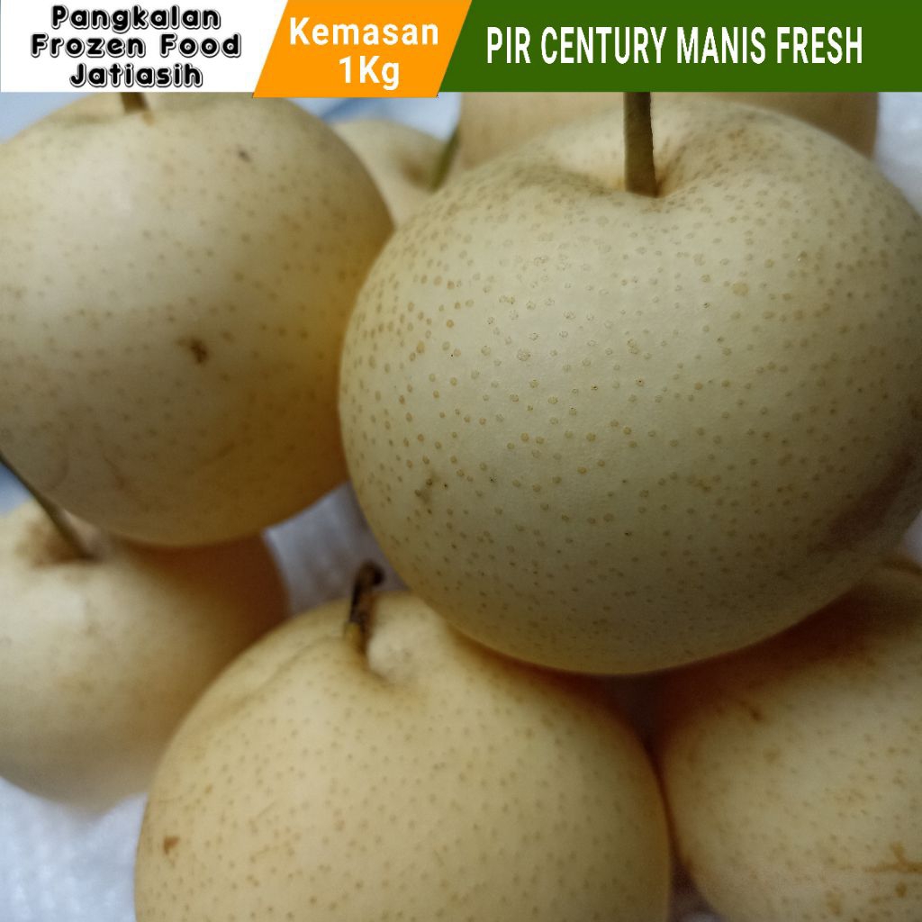 

Buah Pir Century I Pear Century I Manis Fresh I 1kg