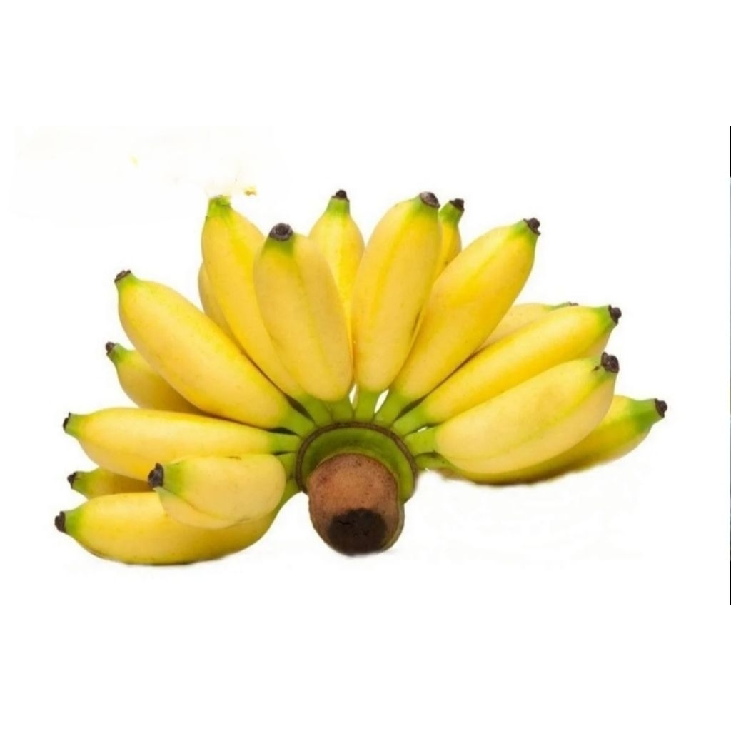 

PISANG PUTRI/MULI/KARMILIN (1 kg)ASLI PEGUNUNGAN PATIAYAM