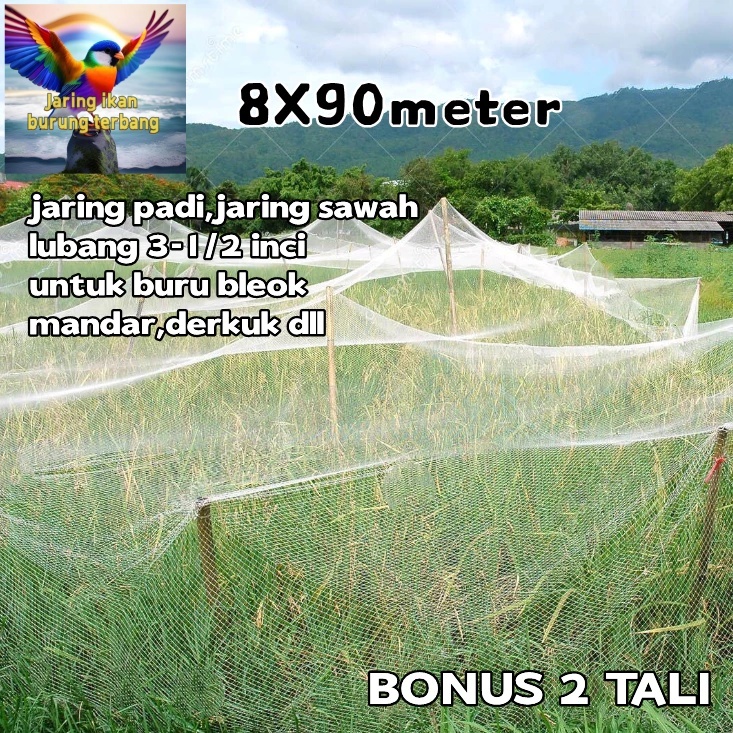 SALE JARING BURUNG PADI SAWAH 8X90M JARING BURUNG PERKUTUT JARING TEKUKUR JARING BURUNG PADI [100%