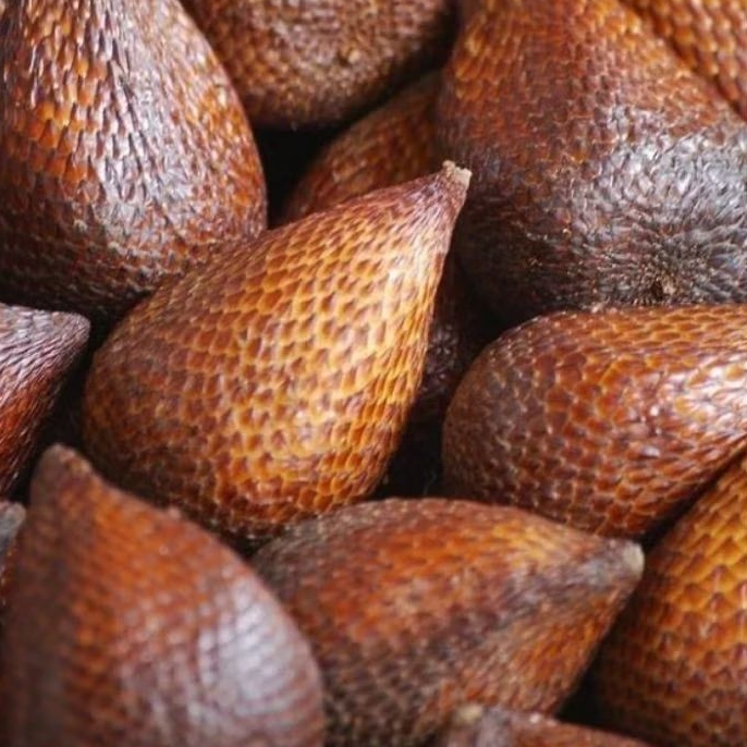 

SALAK PONDOH FRESH 1Kg