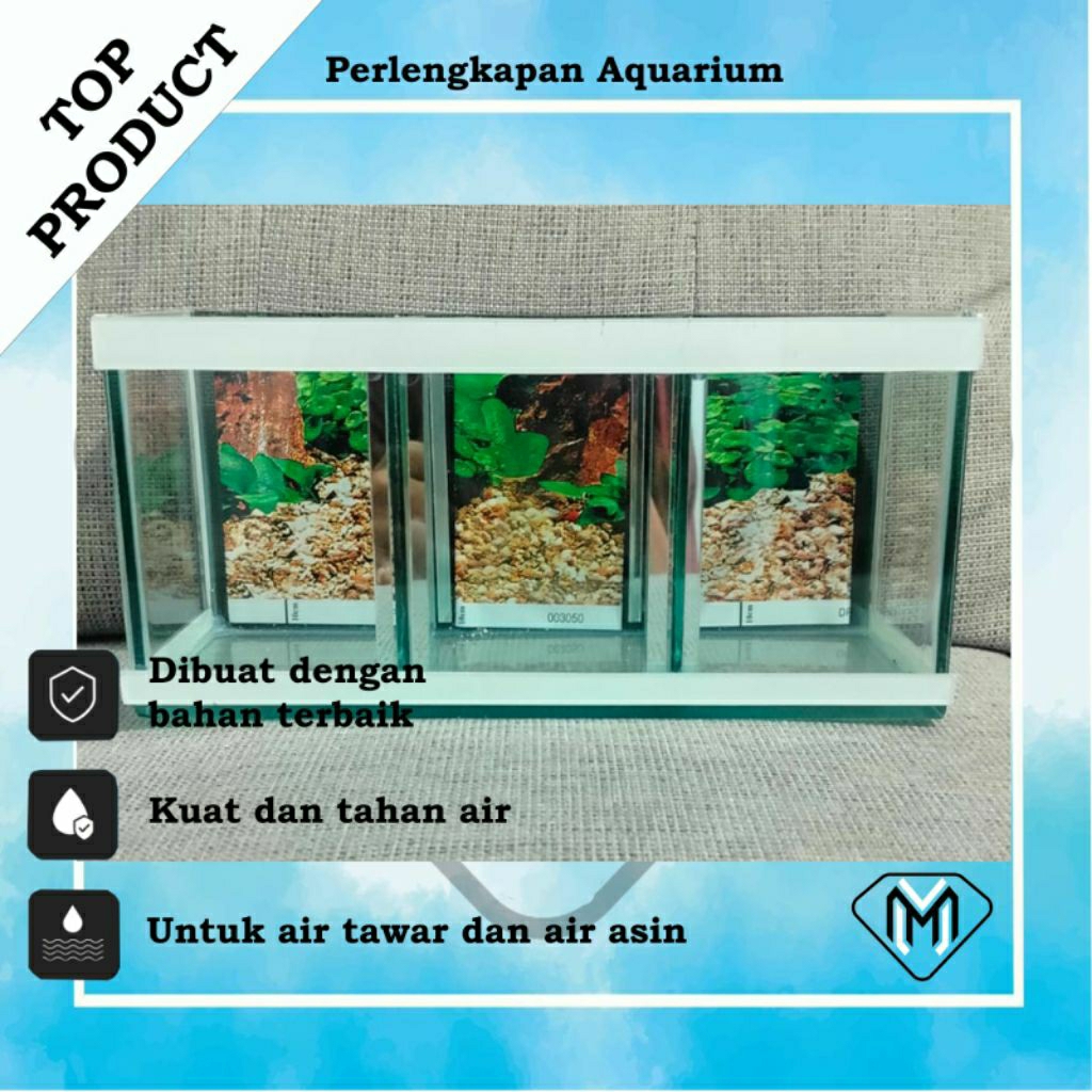 AQUARIUM MINIMALIS SEKAT 3/ AQUARIUM KACA TEBAL MURAH / AQUARIUM CHANNA GUPPY CUPANG