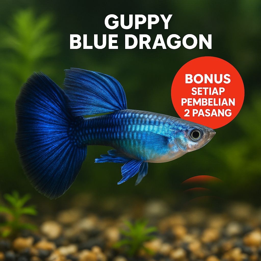 GuppyBlueDragon