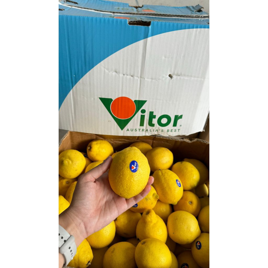 

LEMON AUSIE (KG)