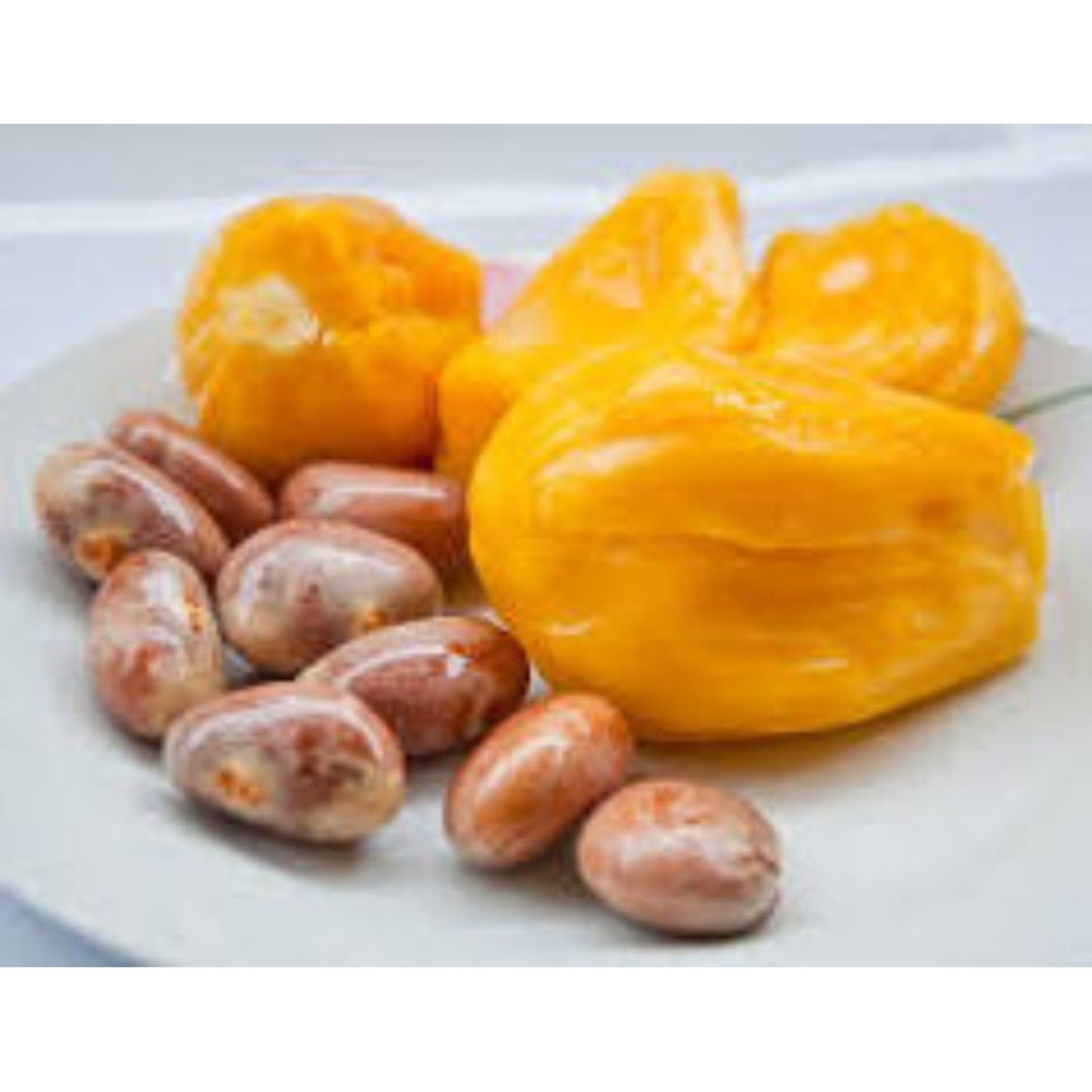 

biji nangka untuk konsumsi 200gram