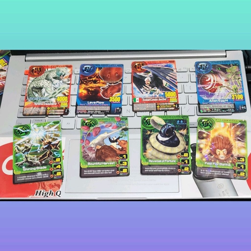 all paket animal kaiser card normal rare