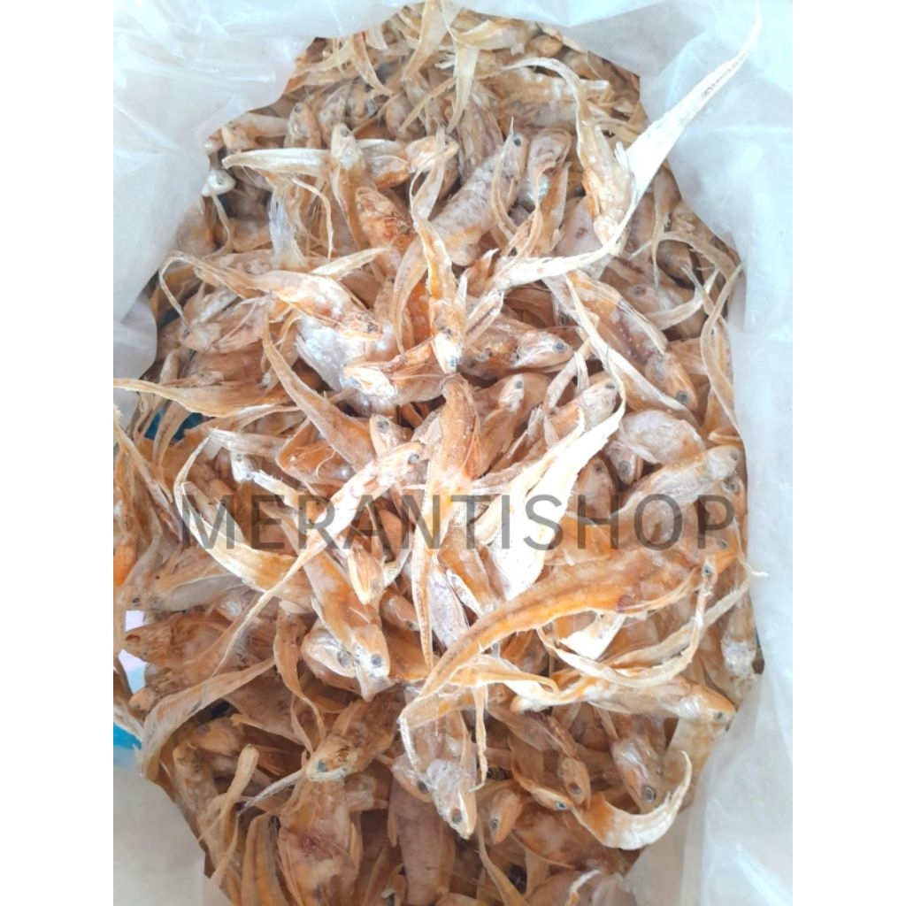 

Ikan Asin Biang 100gram / Ikan Asin Kering