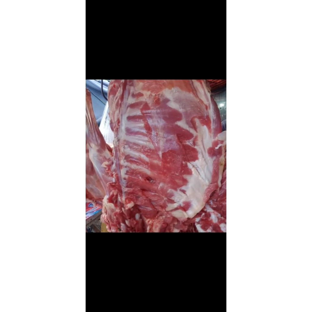 

iga kambing muda dijamin fresh 1kg