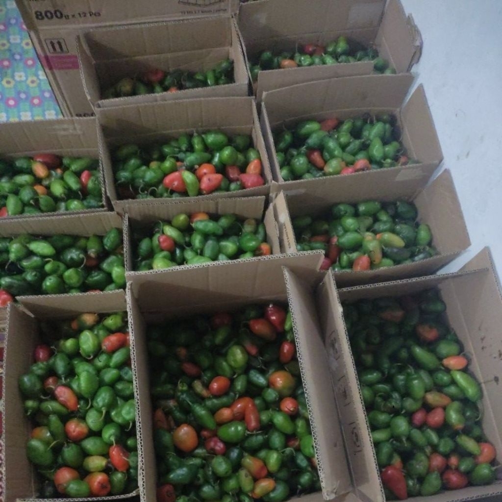 

cabe gendot paket 2kg